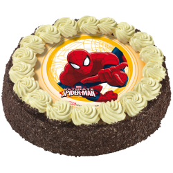 Gâteau chocolat Spiderman - anniversaire enfant - Pâtisserie La Romainville