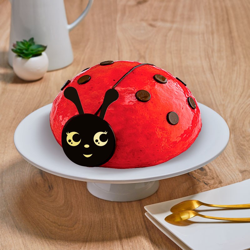 Gâteau coccinelle - Mousse framboise - parfait pour un anniversaire d'enfant - La Romainville